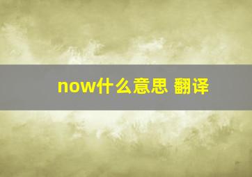 now什么意思 翻译